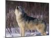 Gray Wolf Howling in Snow-DLILLC-Mounted Premium Photographic Print