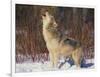 Gray Wolf Howling in Snow-DLILLC-Framed Photographic Print