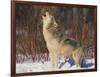 Gray Wolf Howling in Snow-DLILLC-Framed Photographic Print