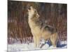 Gray Wolf Howling in Snow-DLILLC-Mounted Photographic Print