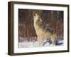 Gray Wolf Howling in Snow-DLILLC-Framed Photographic Print