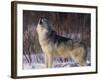 Gray Wolf Howling in Snow-DLILLC-Framed Photographic Print