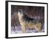 Gray Wolf Howling in Snow-DLILLC-Framed Photographic Print