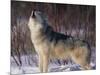 Gray Wolf Howling in Snow-DLILLC-Mounted Photographic Print