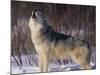 Gray Wolf Howling in Snow-DLILLC-Mounted Photographic Print