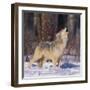 Gray Wolf Howling in Snow-DLILLC-Framed Photographic Print