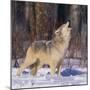 Gray Wolf Howling in Snow-DLILLC-Mounted Photographic Print