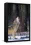 Gray Wolf Howling-DLILLC-Framed Stretched Canvas