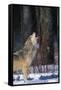 Gray Wolf Howling-DLILLC-Framed Stretched Canvas