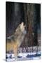 Gray Wolf Howling-DLILLC-Stretched Canvas