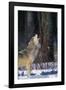 Gray Wolf Howling-DLILLC-Framed Photographic Print