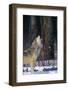 Gray Wolf Howling-DLILLC-Framed Photographic Print