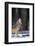 Gray Wolf Howling-DLILLC-Framed Photographic Print