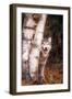 Gray Wolf in a Forest-John Alves-Framed Premium Photographic Print