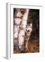 Gray Wolf in a Forest-John Alves-Framed Premium Photographic Print