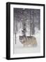 Gray Wolf in Snow-DLILLC-Framed Premium Photographic Print