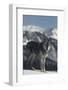 Gray Wolf in Snow-DLILLC-Framed Photographic Print