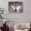 Gray Wolf in the Foothills of the Takshanuk Mountains, Alaska, USA-Steve Kazlowski-Stretched Canvas displayed on a wall