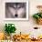 Gray Wolf in the Foothills of the Takshanuk Mountains, Alaska, USA-Steve Kazlowski-Framed Photographic Print displayed on a wall