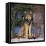 Gray Wolf in Trees-DLILLC-Framed Stretched Canvas