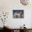 Gray Wolf in Water-DLILLC-Photographic Print displayed on a wall