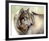 Gray Wolf Looking back-Joni Johnson-Godsy-Framed Giclee Print