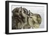 Gray Wolf, Montana-Adam Jones-Framed Photographic Print