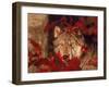 Gray Wolf Peeking Through Leaves-Lynn M^ Stone-Framed Premium Photographic Print