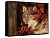 Gray Wolf Peeks Through Leaves, Canis Lupus-Lynn M^ Stone-Framed Stretched Canvas