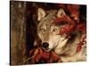 Gray Wolf Peeks Through Leaves, Canis Lupus-Lynn M^ Stone-Stretched Canvas