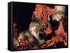 Gray Wolf Peeks Through Leaves, Canis Lupus-Lynn M^ Stone-Framed Stretched Canvas