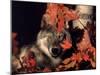 Gray Wolf Peeks Through Leaves, Canis Lupus-Lynn M^ Stone-Mounted Photographic Print