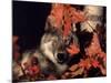 Gray Wolf Peeks Through Leaves, Canis Lupus-Lynn M^ Stone-Mounted Photographic Print