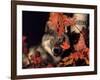 Gray Wolf Peeks Through Leaves, Canis Lupus-Lynn M^ Stone-Framed Photographic Print