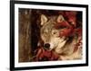 Gray Wolf Peeks Through Leaves, Canis Lupus-Lynn M^ Stone-Framed Photographic Print