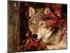 Gray Wolf Peeks Through Leaves, Canis Lupus-Lynn M^ Stone-Mounted Photographic Print