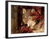 Gray Wolf Peeks Through Leaves, Canis Lupus-Lynn M^ Stone-Framed Photographic Print