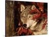 Gray Wolf Peeks Through Leaves, Canis Lupus-Lynn M^ Stone-Stretched Canvas