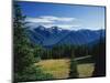 Gray Wolf Ridge-James Randklev-Mounted Photographic Print