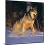 Gray Wolf Running in Snow-DLILLC-Mounted Photographic Print