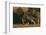 Gray Wolf Stalking-DLILLC-Framed Photographic Print