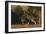 Gray Wolf Stalking-DLILLC-Framed Photographic Print