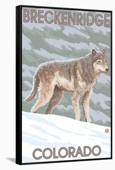 Gray Wolf Standing - Breckenridge, Colorado-Lantern Press-Framed Stretched Canvas