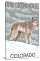 Gray Wolf Standing - Breckenridge, Colorado-Lantern Press-Stretched Canvas