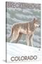 Gray Wolf Standing - Breckenridge, Colorado-Lantern Press-Stretched Canvas