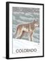 Gray Wolf Standing - Breckenridge, Colorado-Lantern Press-Framed Art Print