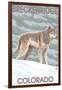 Gray Wolf Standing - Breckenridge, Colorado-Lantern Press-Framed Art Print