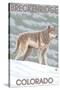 Gray Wolf Standing - Breckenridge, Colorado-Lantern Press-Stretched Canvas