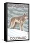 Gray Wolf Standing - Breckenridge, Colorado-Lantern Press-Framed Stretched Canvas