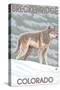 Gray Wolf Standing - Breckenridge, Colorado-Lantern Press-Stretched Canvas